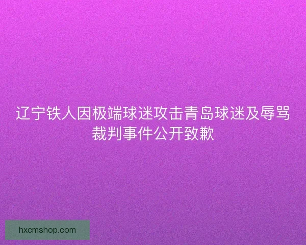 辽宁铁人因极端球迷攻击青岛球迷及辱骂裁判事件公开致歉